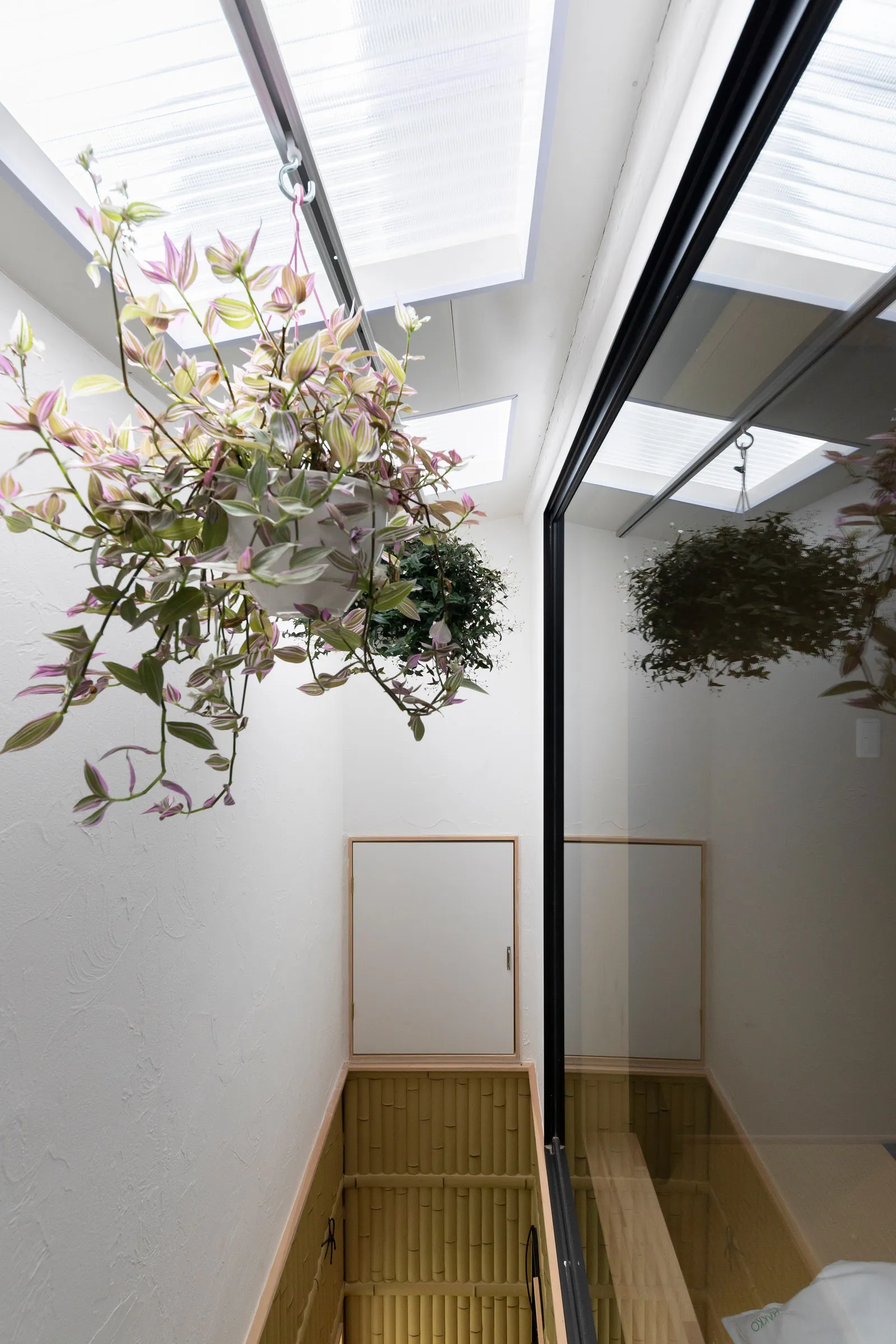 Shirakabanoyado SHIOKUSA — Garden